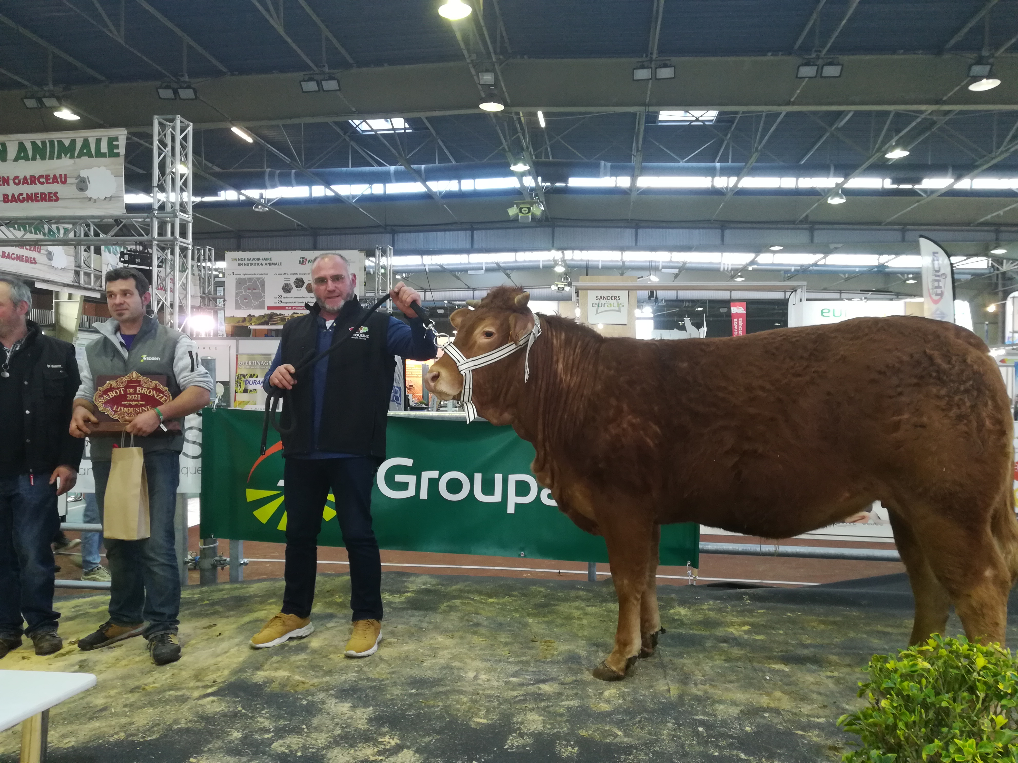 dav
